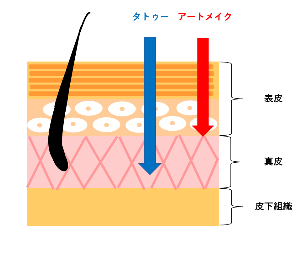 眉毛アートメイクとタトゥーの違い